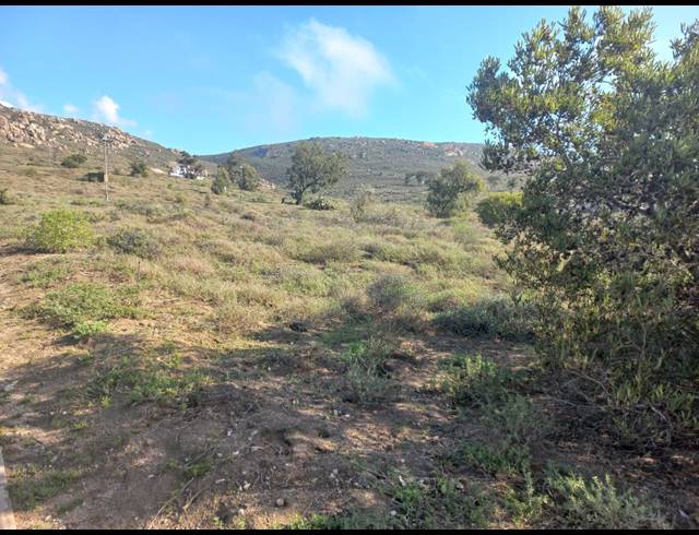 450M² VACANT LAND FOR SALE IN STEENBERGS COVE
